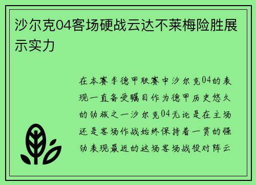 沙尔克04客场硬战云达不莱梅险胜展示实力